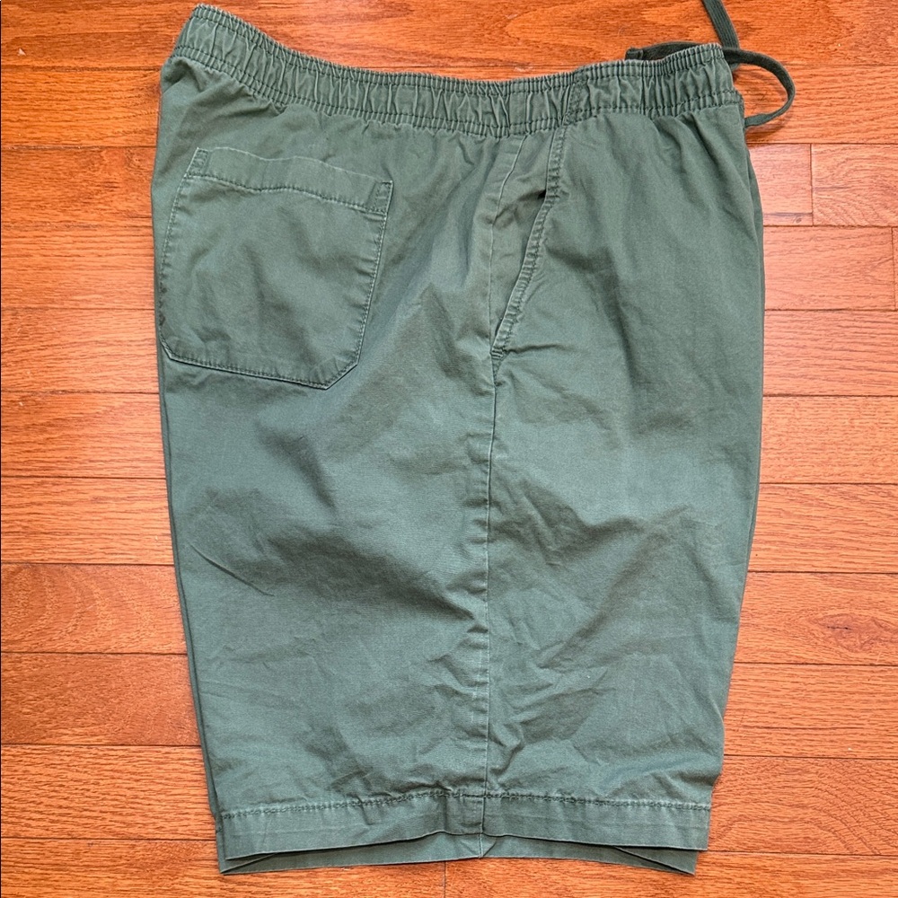 GAP Men's Olive Flat Front Shorts